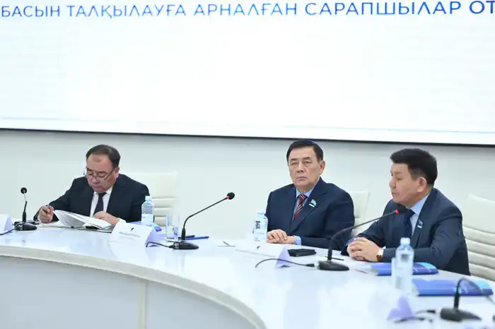 Справедливый Закон - сильное государство (6)