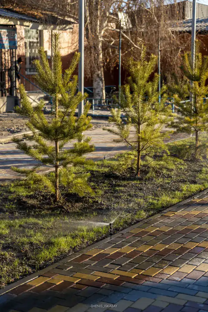 12 зеленых зон благоустроят в Жетісу в рамках «Таза Қазақстан» (7)