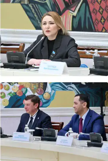 Новая Конституция как основа единства: Коалиция встретилась с общественностью Карагандинской области (7)