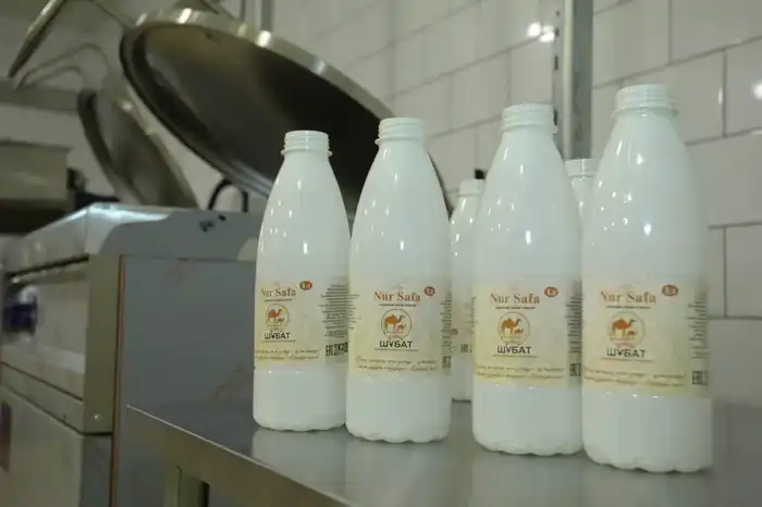 Нурдаулет Килыбай ознакомился со строительством социальных и производственных объектов в Мунайлинском районе (7)