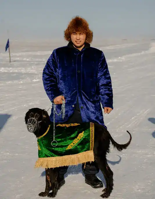 Традиции степи: самых быстрых тазы выбрали в Бухар-Жырауском районе (7)