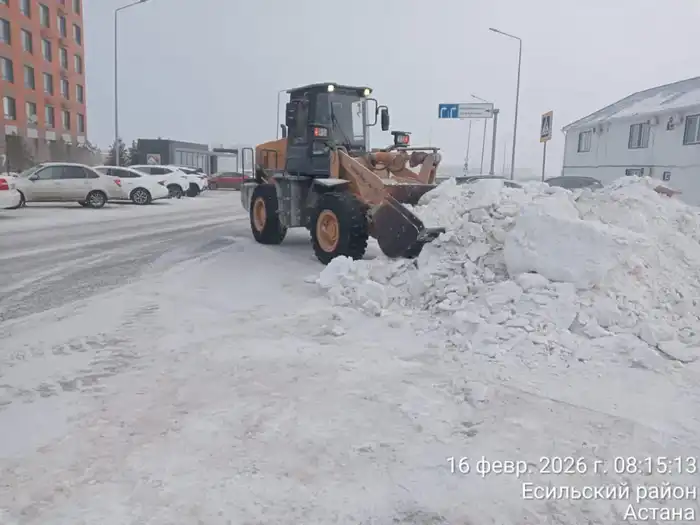 Около 1 700 единиц спецтехники задействовано в снегоуборочных работах в Астане (4)