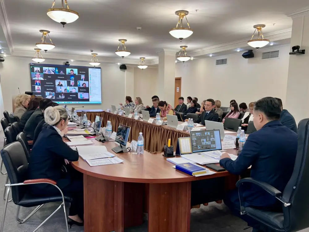 В Минтруда обсудили новые механизмы трудоустройства и совершенствование защиты прав лиц с инвалидностью (4)