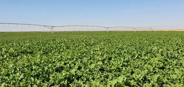 Водное хозяйство Жетісу: новые инфраструктурные проекты и современные технологии (4)