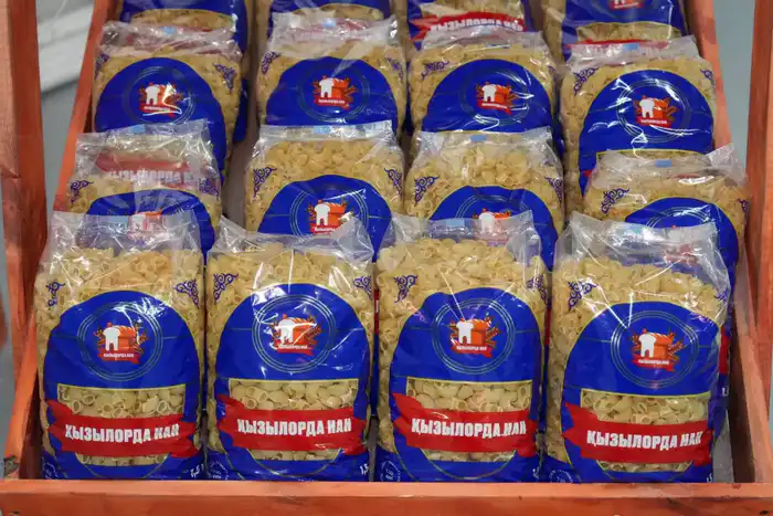 Заместитель министра иностранных дел ознакомился с инвестиционными проектами, реализованными в Кызылорде (6)