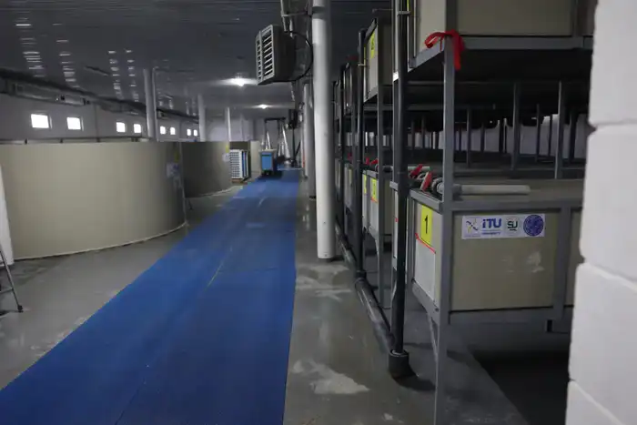 Мост между наукой и производством: Саясат Нурбек посетил рыбный завод Международного Таразского университета имени Шерхана Муртазы (5)