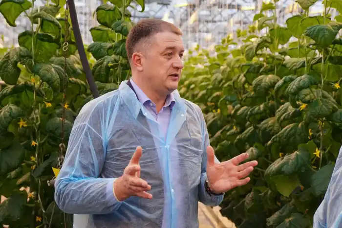 Делегация ВКО ознакомилась с работой крупнейшей теплицы в Барнауле (7)