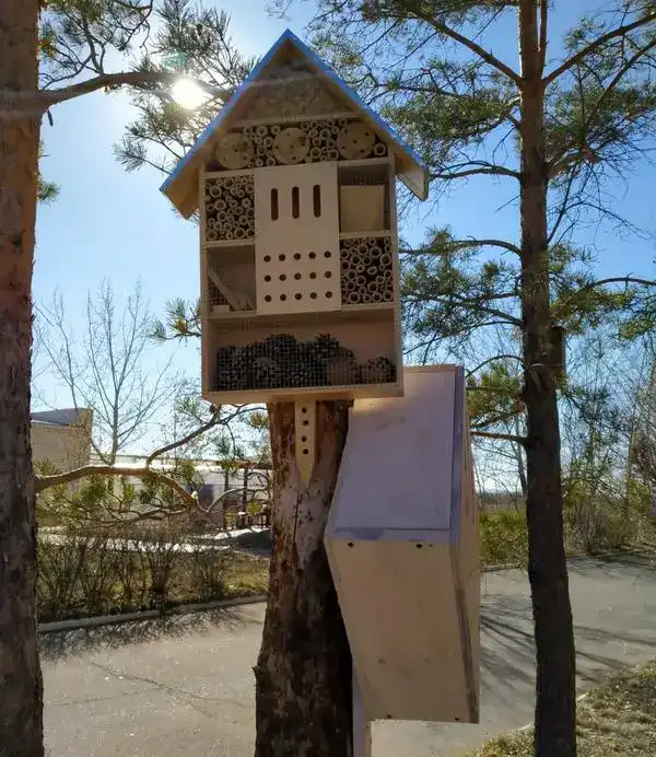 Экопроект: в Карагандинском университете имени Е. А. Букетова открыли «гостиницу» для полезных насекомых (5)