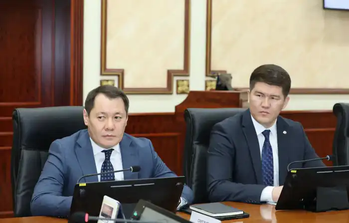 Нурдаулет Килыбай принял председателя правления фонда «Даму» (2)