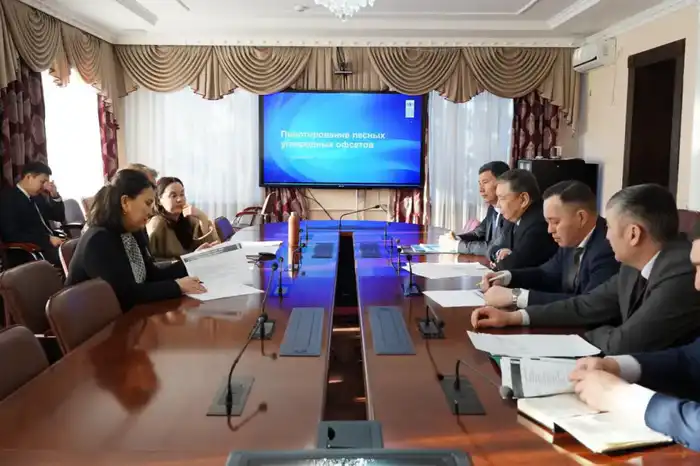 Көміртекті бастамаларды дамыту: БҰҰДБ өкілдерімен кездесу Ақмола облысында өтті (4)