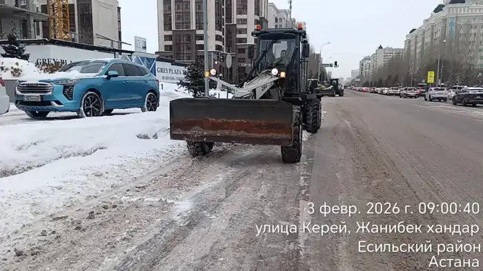Более 3 000 дорожных рабочих и 1 600 единиц спецтехники заняты в снегоуборочных работах в Астане (10)