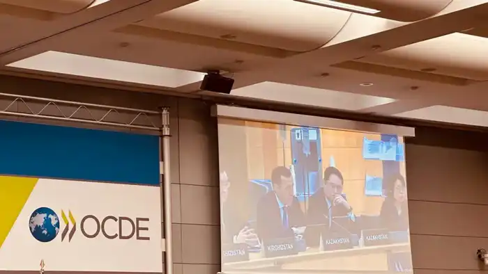 Казахстан подтверждает приверженность сотрудничеству с ОЭСР (3)