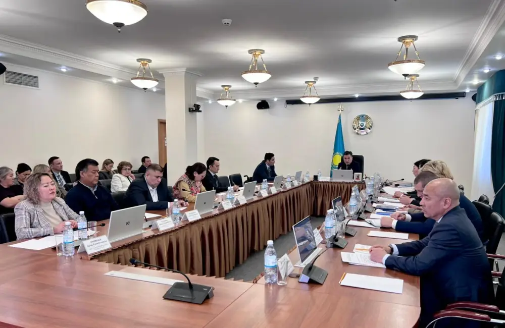 В Минтруда обсудили новые механизмы трудоустройства и совершенствование защиты прав лиц с инвалидностью (5)