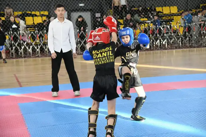 «Астана – город без наркотиков»: турнир по кикбоксингу среди молодежи провели в столице (7)