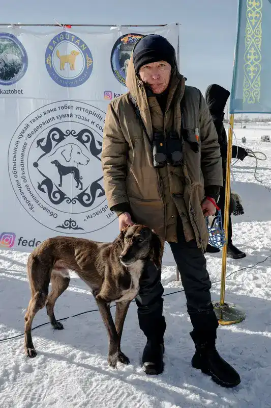 Традиции степи: самых быстрых тазы выбрали в Бухар-Жырауском районе (3)