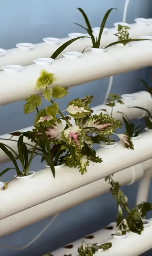 Цветы жизни: как в детском саду «Өрлеу» поддержали акцию «Таза Қазақстан» (4)