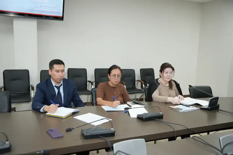 В Казахстане обновят 17 тыс. км электролиний и 444 высоковольтных подстанций (3)