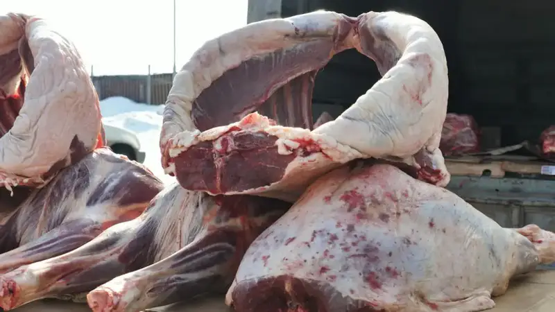 Ярмарки выходного дня «Nauryz Sale» проходят в 7 точках столицы (3)