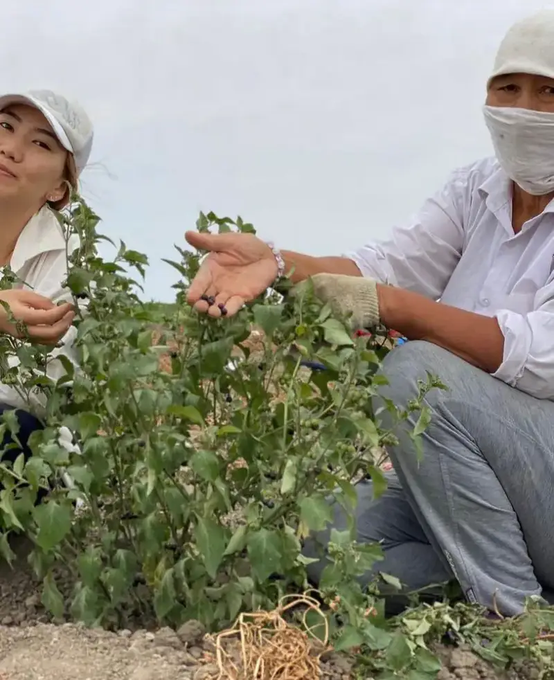 Достойный жизненный путь Аккенже Саташевой (5)
