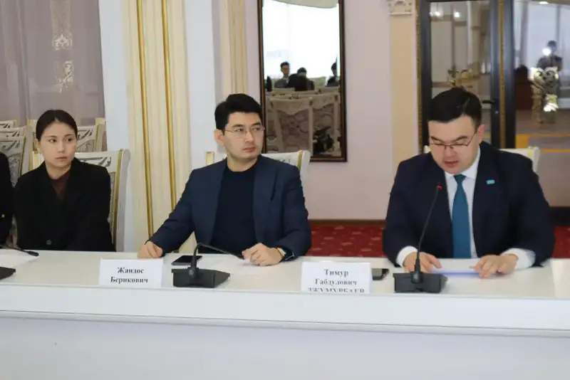 В Астане состоялась встреча с молодежными организациями по вопросам новой Конституции (2)