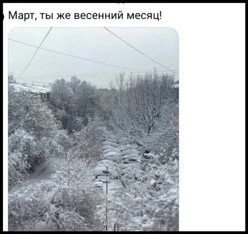 Шутки о снегопаде