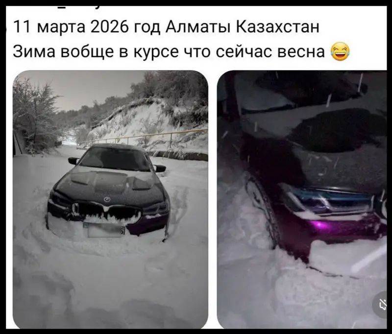 Шутки о снегопаде