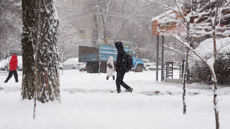 Заснеженный парк