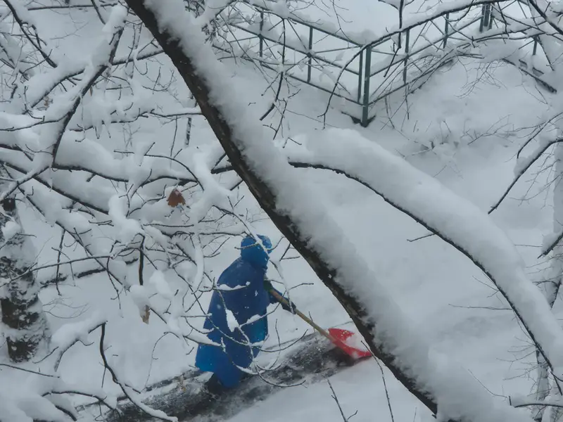 Заснеженные улицы