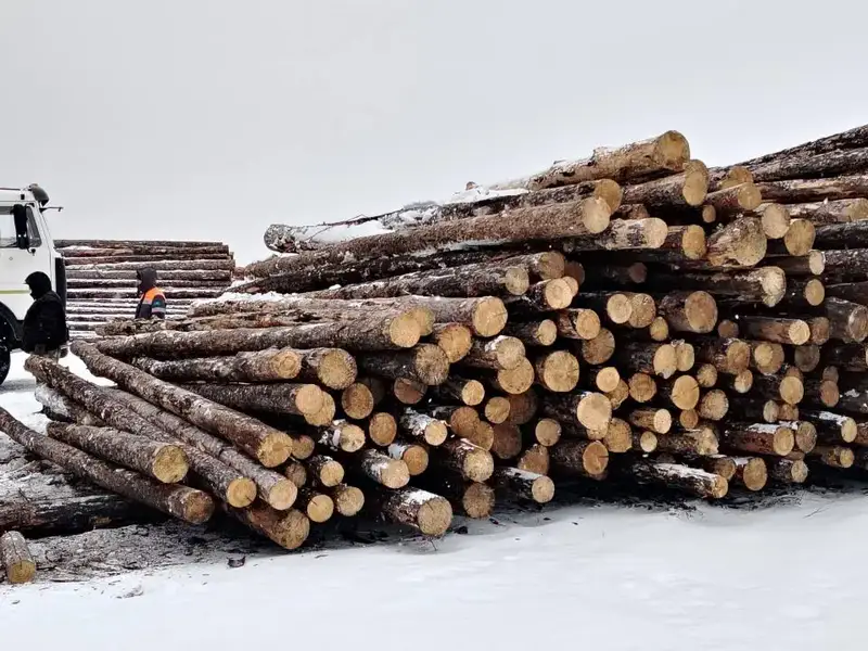 В Казахстане подведены итоги пилотного проекта по маркировке древесины (4)