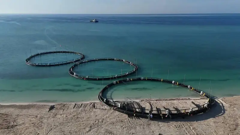 40 проектов в сфере аквакультуры реализуется в Казахстане (2)