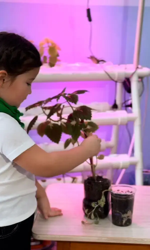 Цветы жизни: как в детском саду «Өрлеу» поддержали акцию «Таза Қазақстан» (6)