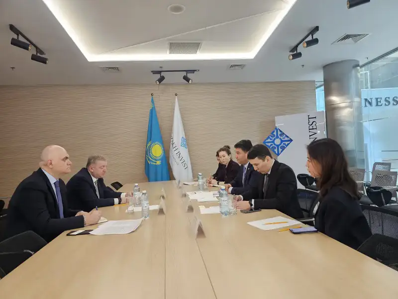 Казахстан и Грузия обсудили развитие инвестиционного сотрудничества (2)
