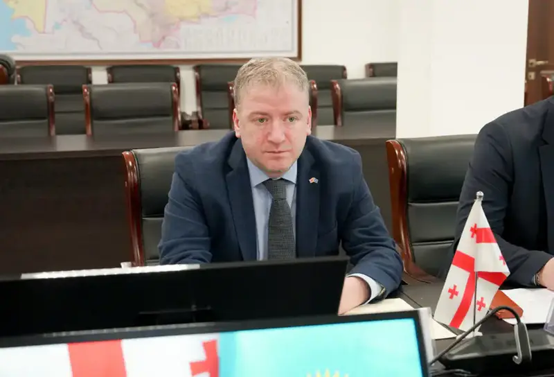 Грузия заинтересована в расширении сотрудничества с Казахстаном в сфере АПК (2)