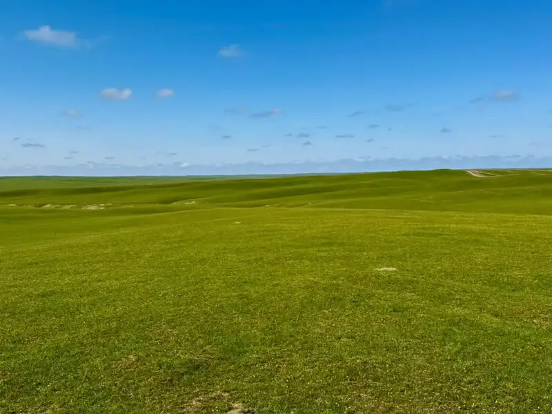 В ТУРКЕСТАНСКОЙ ОБЛАСТИ НАЧАЛАСЬ БОРЬБА С САРАНЧОЙ (2)