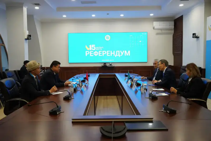 Международные миссии наблюдения активно следят за ходом подготовки к республиканскому референдуму (10)