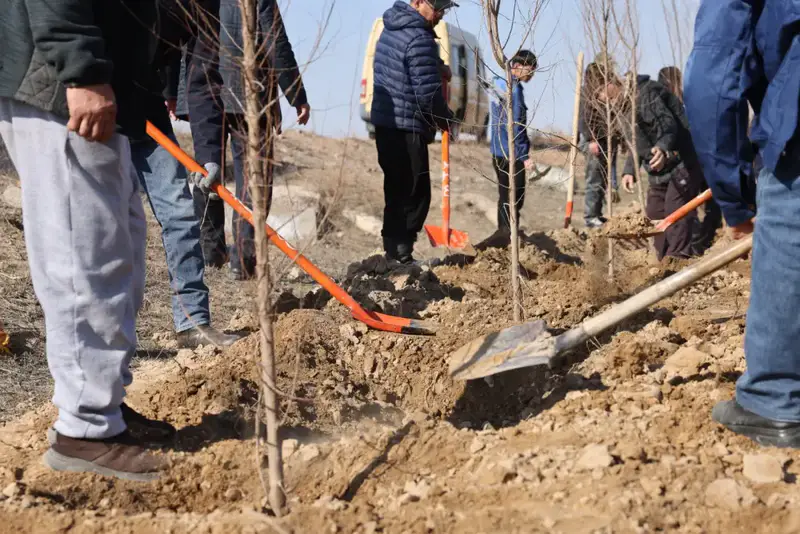 В Илийском районе ведутся масштабные работы по озеленению (3)