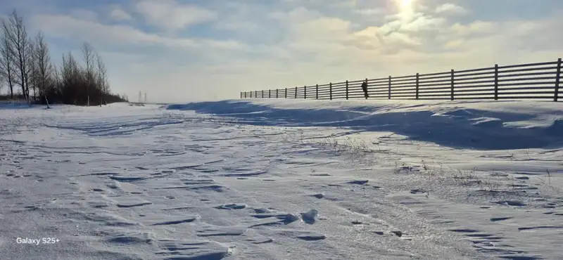 Зима без заносов: на трассе «Астана – Кокшетау» тестируют новую снегозащитную систему (5)