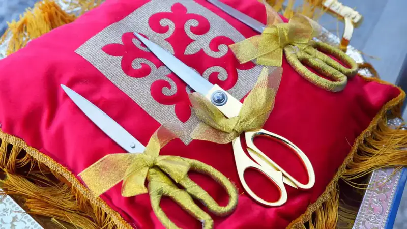 В Алматинской области открыли две врачебные амбулатории и вручили ключи от 132 новых квартир (4)