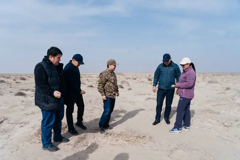 Исследования и озеленение: в Атырау разрабатывают меры по борьбе с пыльными бурями (6)