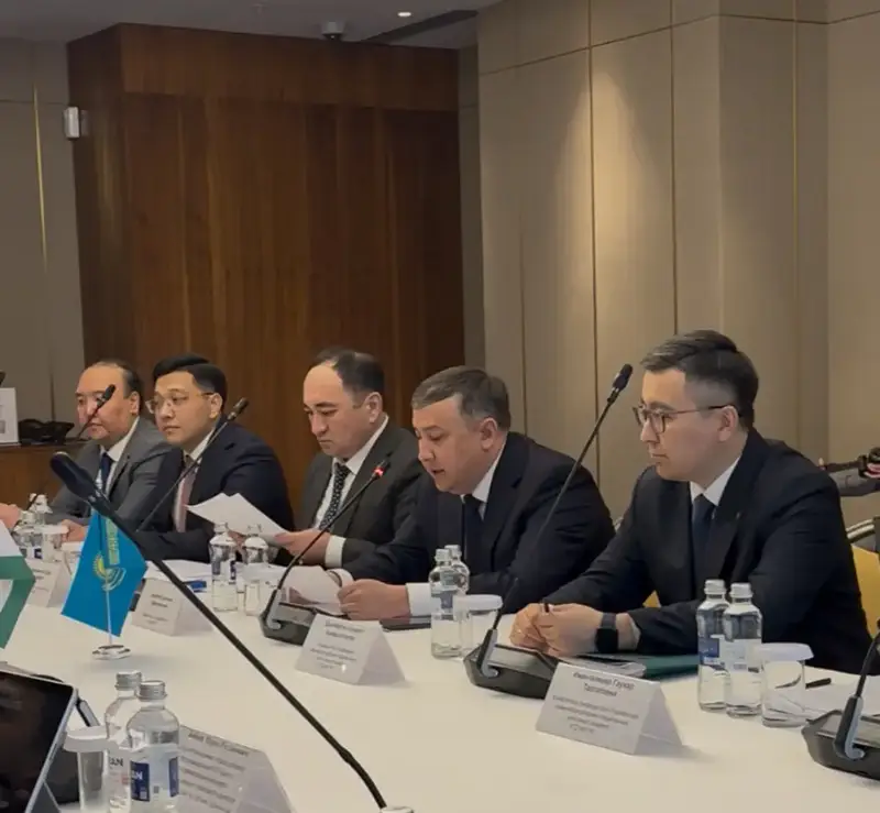 Казахстан и Таджикистан усиливают сотрудничество в сфере налогового администрирования (2)