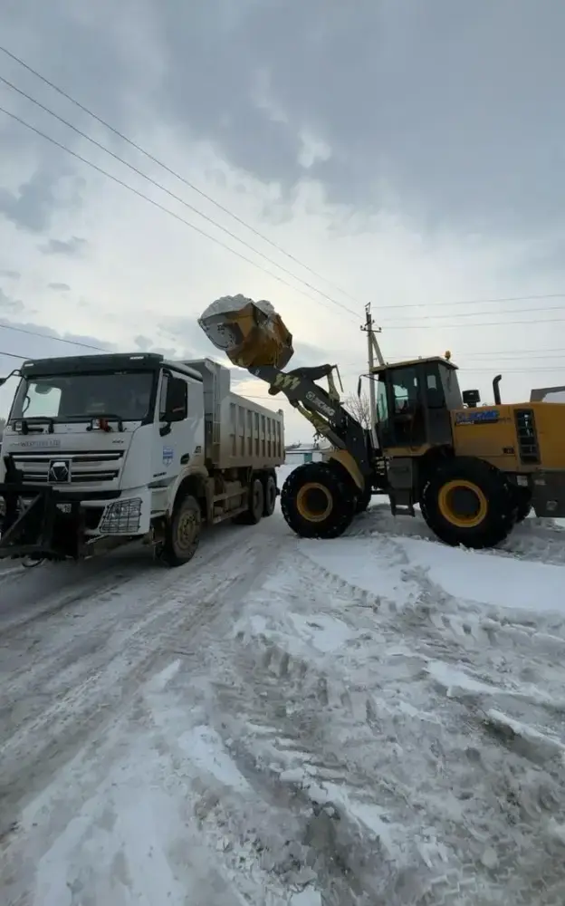 В области Абай продолжаются работы по вывозу снега и откачке талых вод (7)