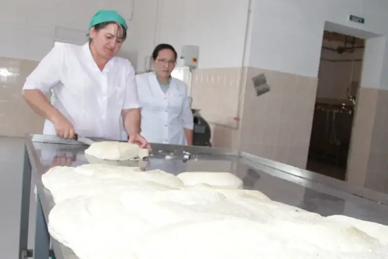 Более 2,5 тыс. человек работают в сфере переработки сельхозпродукции в Жамбылской области (8)