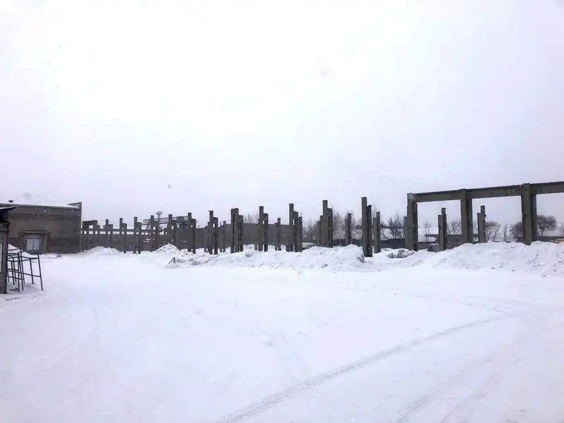 В ВКО запускаются новые производства по переработке молока (2)