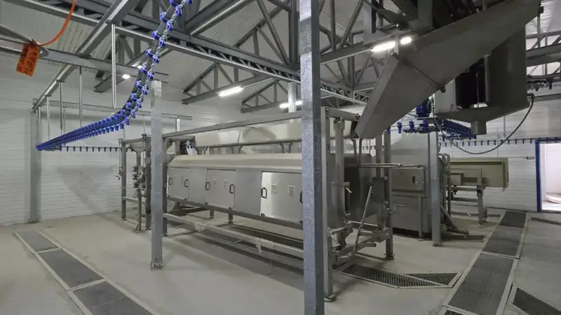 Птицефабрику мощностью 3,5 тыс. тонн в год запустят в Кызылординской области (3)