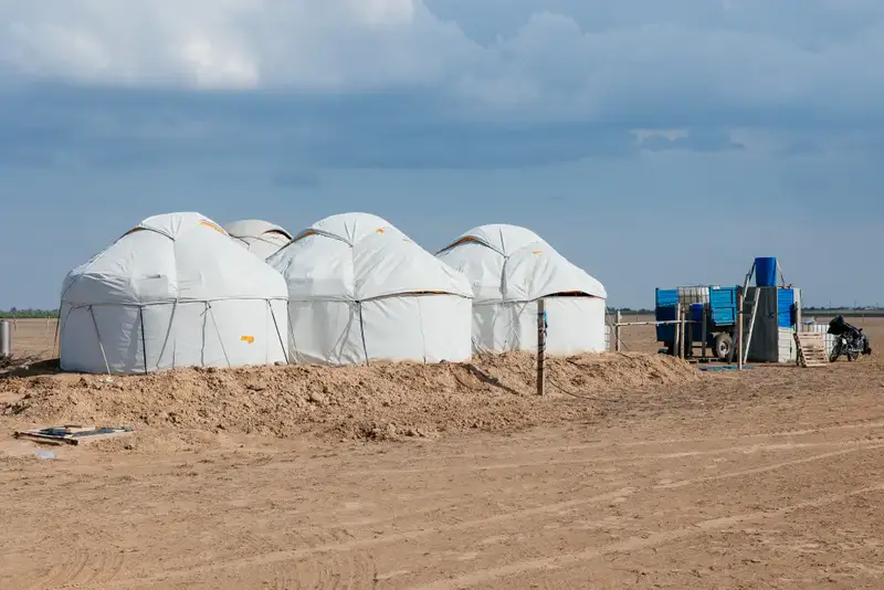 До 10 тысяч гектаров увеличатся посевные площади в Атырауской области (2)