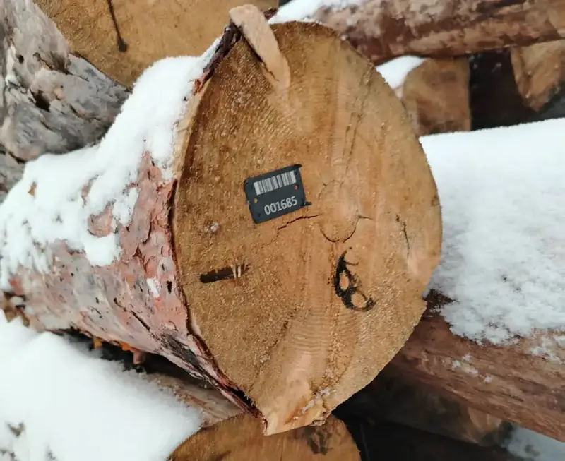 В Казахстане подведены итоги пилотного проекта по маркировке древесины (2)