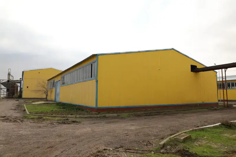 ТУРКЕСТАН: В МАХТААРАЛЕ ЗАПУЩЕН ЗАВОД ПО ПЕРЕРАБОТКЕ МАСЛИЧНЫХ КУЛЬТУР МОЩНОСТЬЮ 100-150 ТОНН В СУТКИ (2)