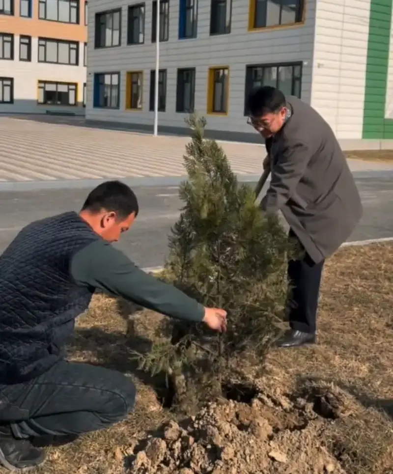 Родители высадили саженцы во дворах «Келешек мектептері» (3)