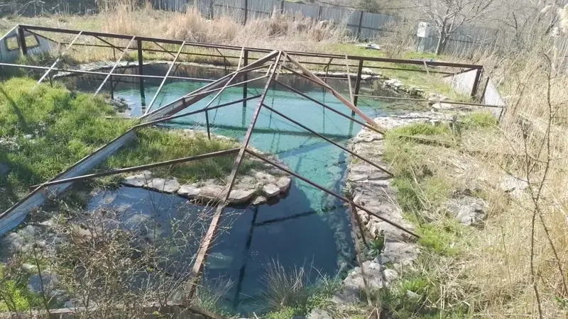 ТУРКЕСТАН: ОКОЛО 500 ЖИТЕЛЕЙ КАЗЫГУРТСКОГО РАЙОНА ПРИНЯЛО УЧАСТИЕ В РЕСПУБЛИКАНСКОЙ АКЦИИ «МӨЛДІР БҰЛАҚ» (3)