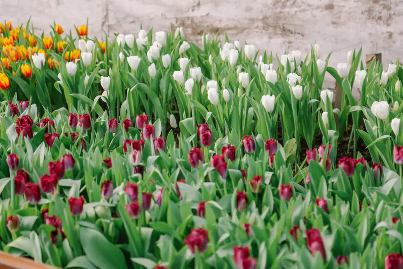 погода в марте